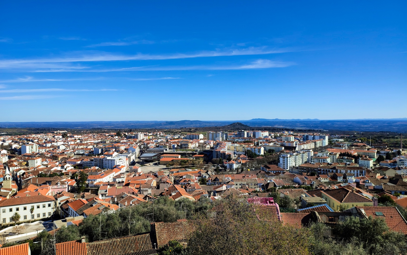 Housing Market Trends in Portugal: What Do They Mean for Beira Baixa?