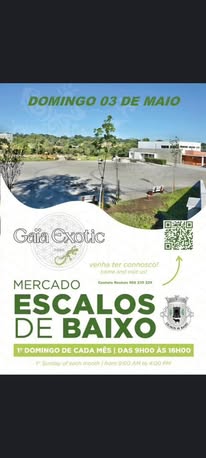 Escalos de Baixo Market