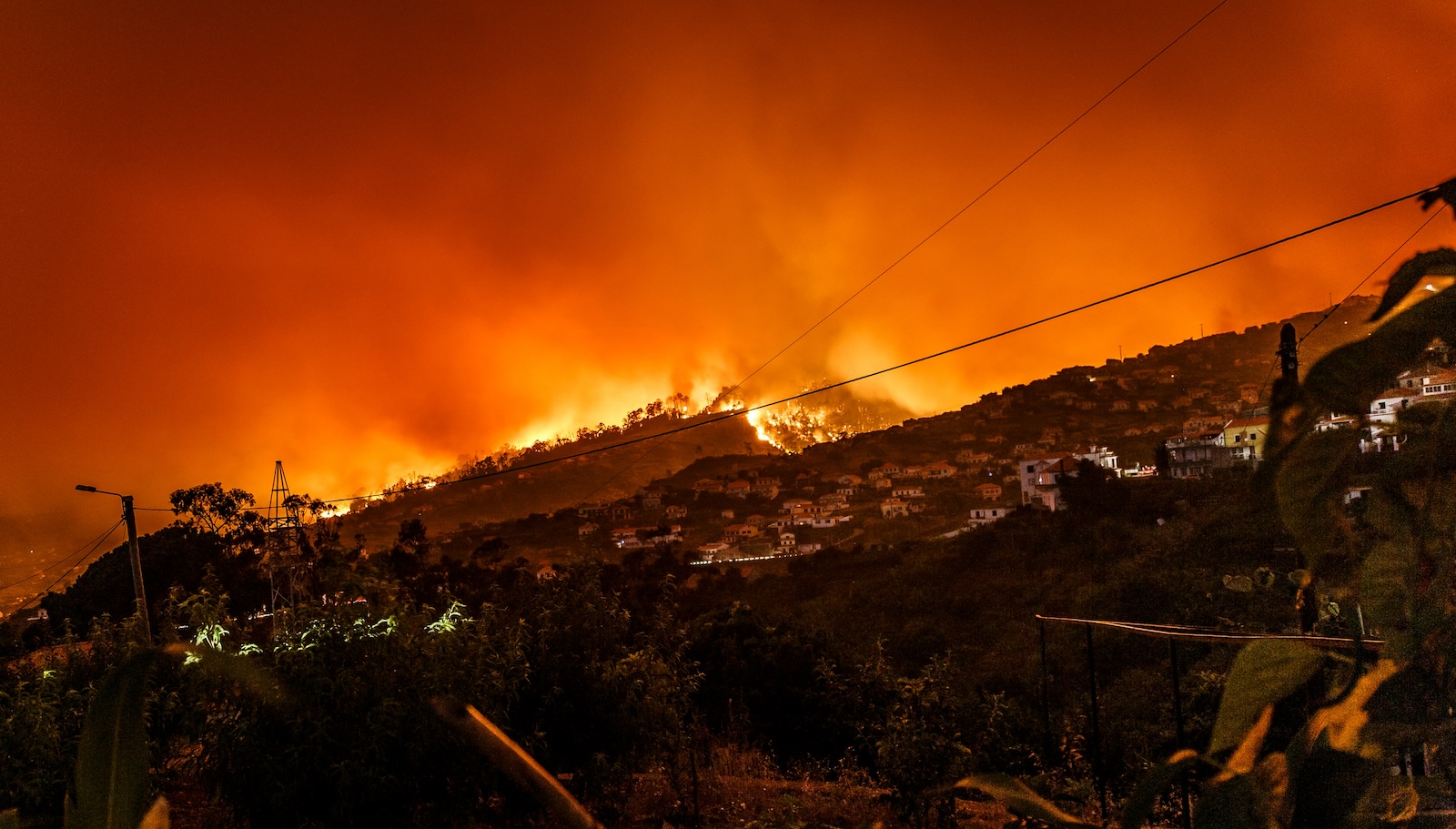 Beiras and Serra da Estrela to Have More Than 800 Firefighters on Permanent Summer Readiness
