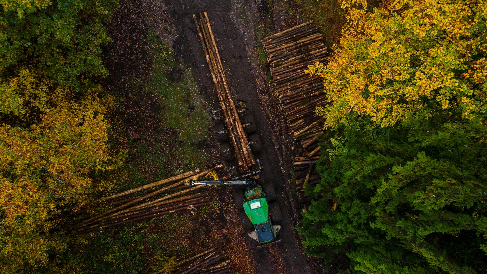 Forestry Electrification and Digitalisation Projects Presented in Penamacor