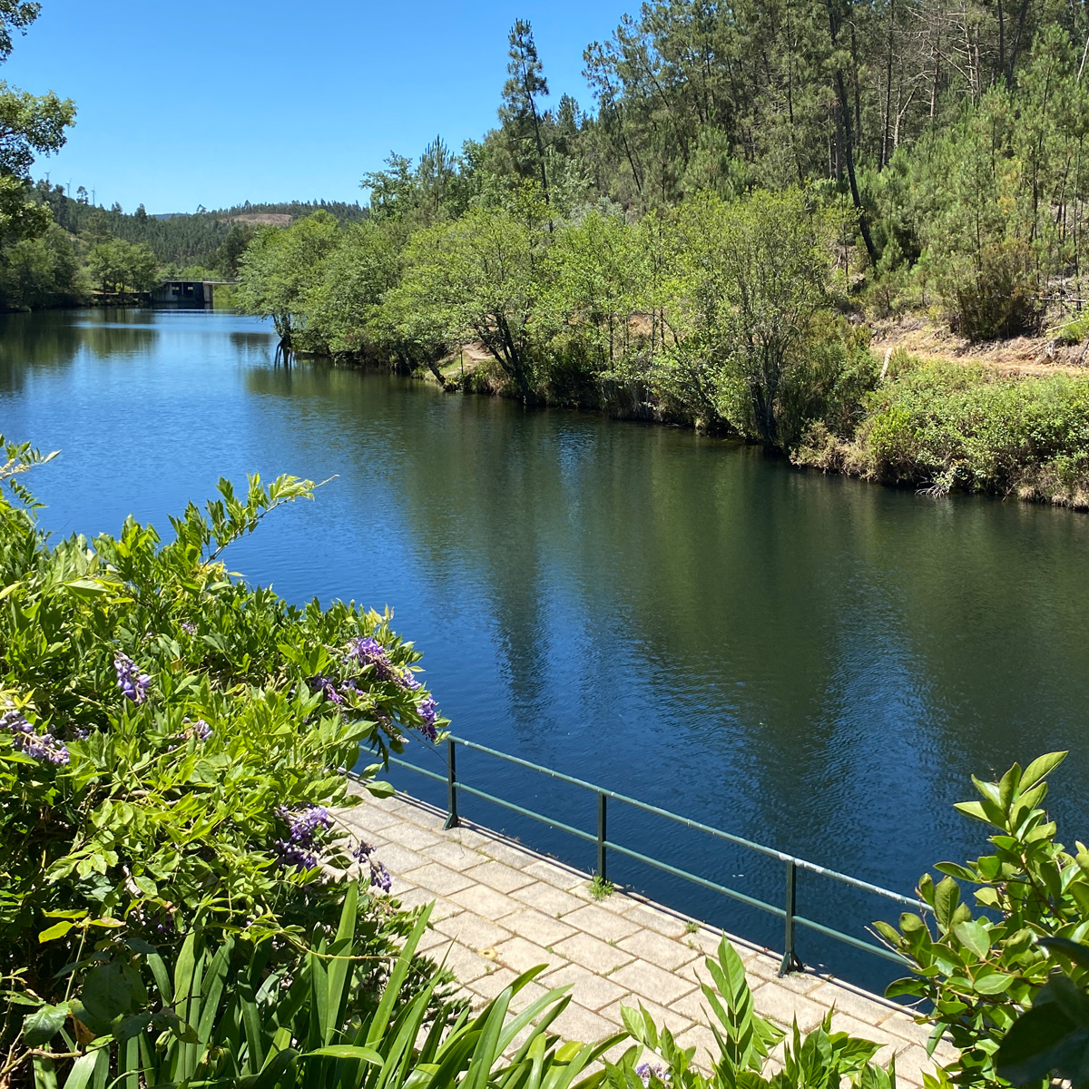 Summer Arrives as Pools and River Beaches Open Across Beira Baixa