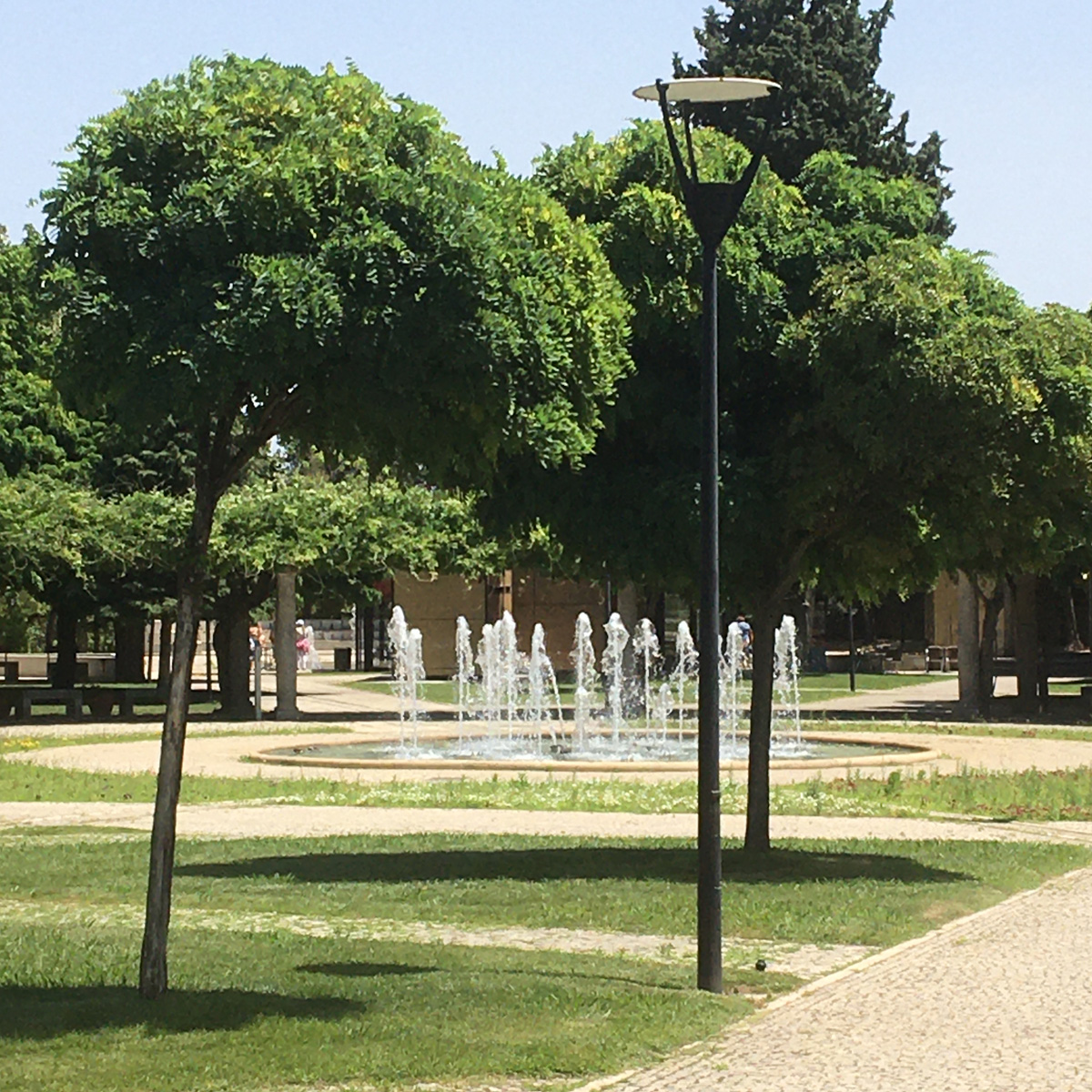 City Park Castelo Branco