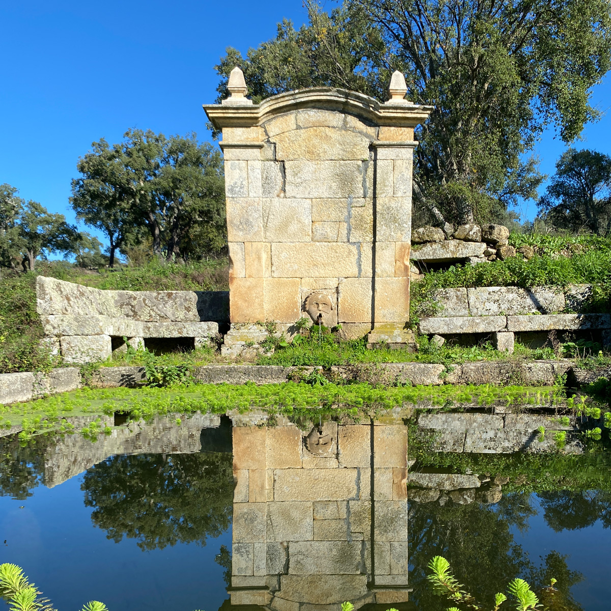 Fonte de Mona